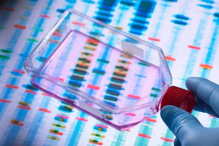 Ethical Consideration - Genetics